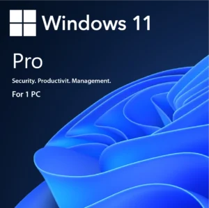 Windows-11-Professional-1.webp Windows 11 Pro