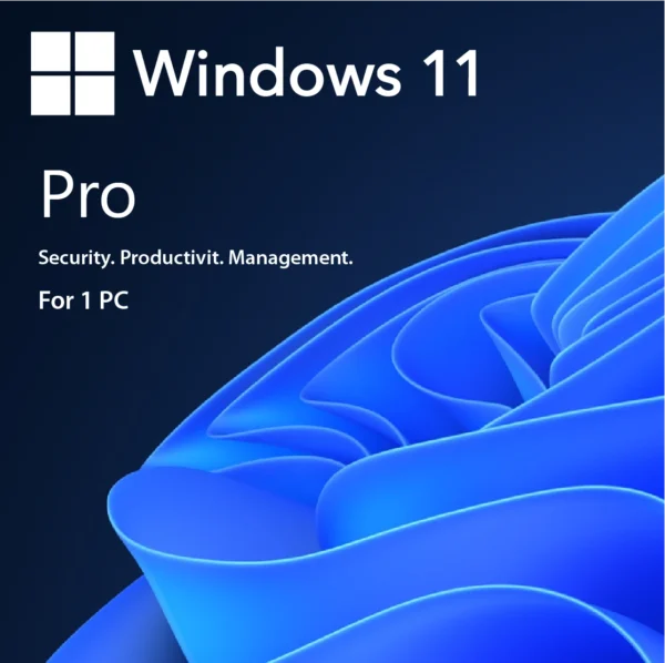 Windows 11 Pro